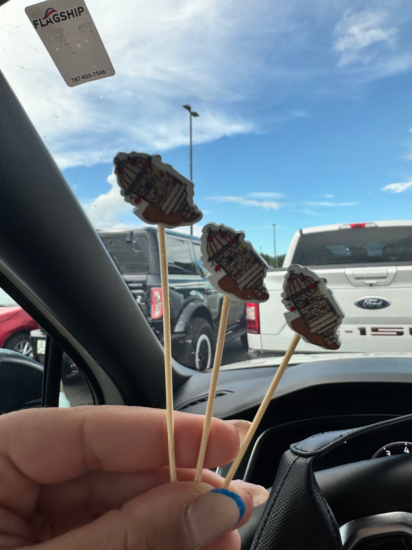 Palitos de dientes de Puerto Rico 🇵🇷