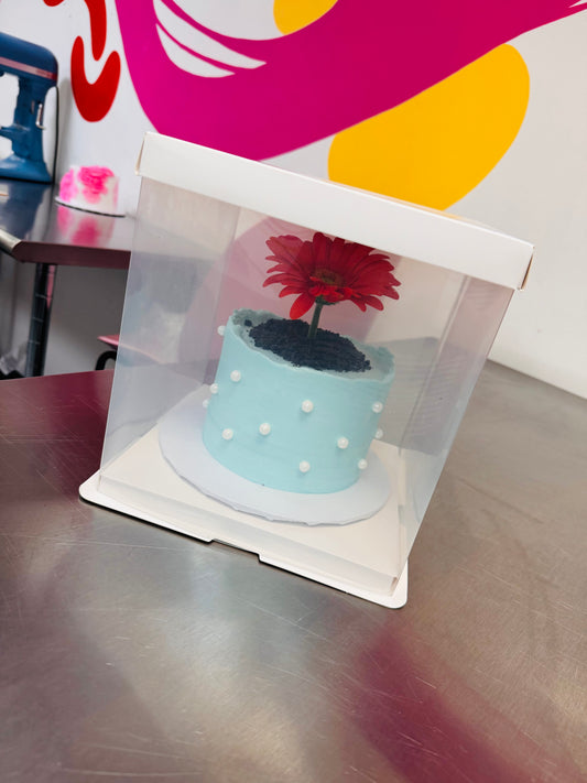 Caja para tiesto cake