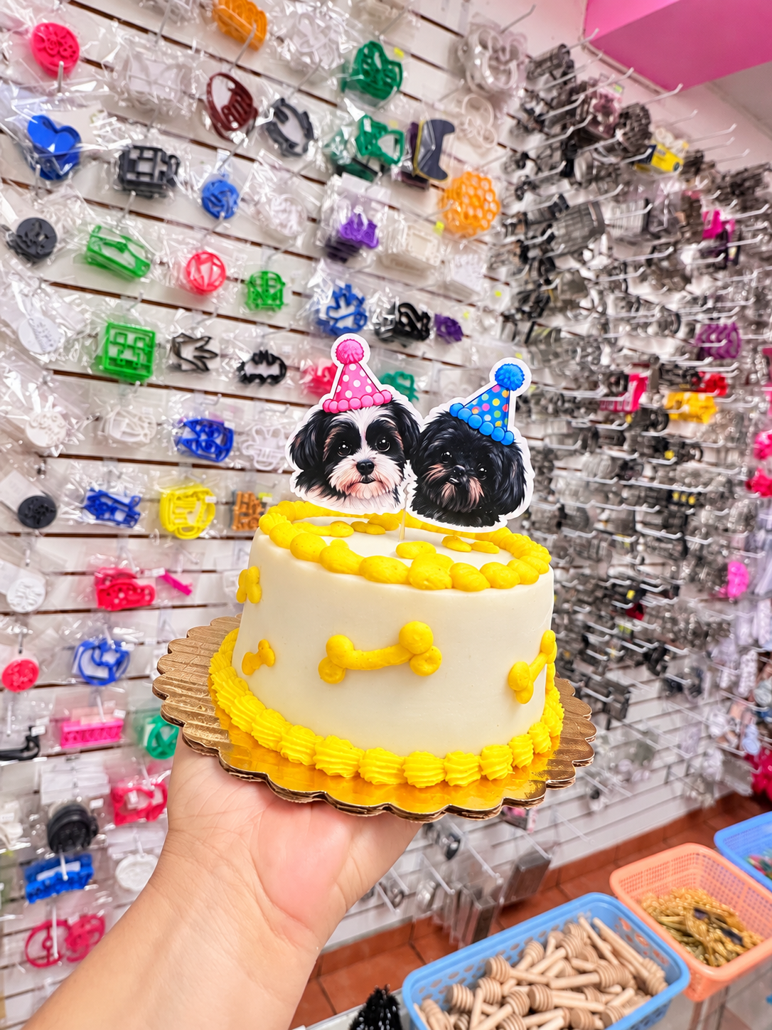 Seminario online: Repostería canina