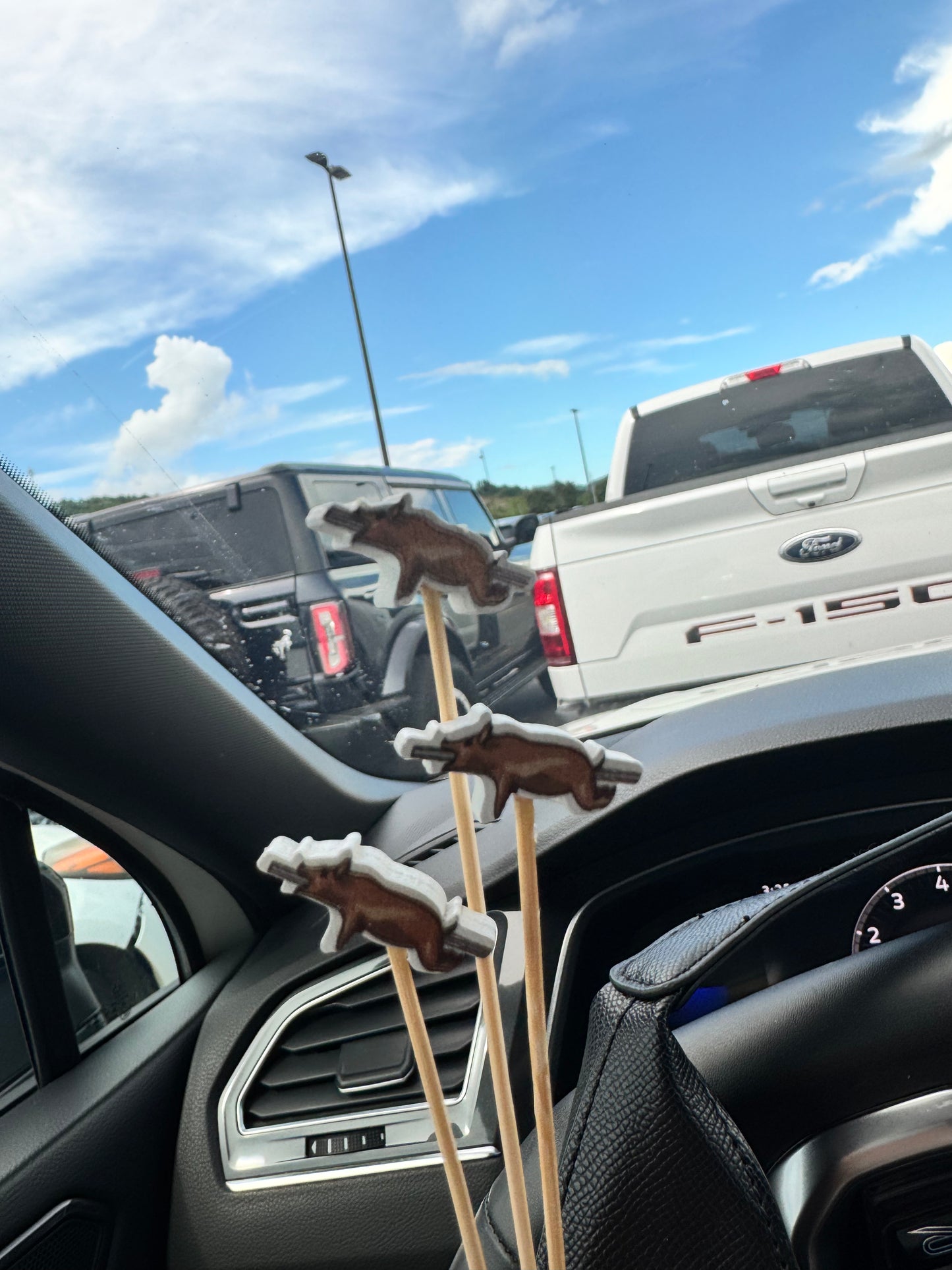 Palitos de dientes de Puerto Rico 🇵🇷