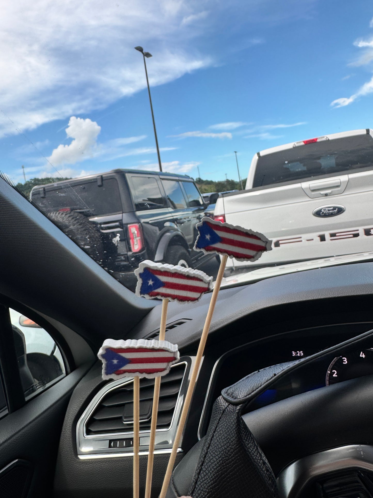 Palitos de dientes de Puerto Rico 🇵🇷